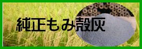 �������݊k�Y